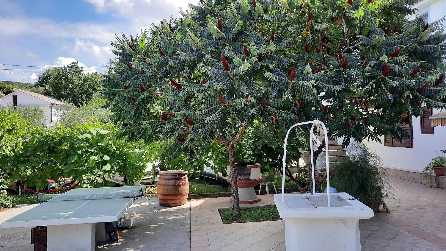 Apartments Ankica Kampor Croatia
